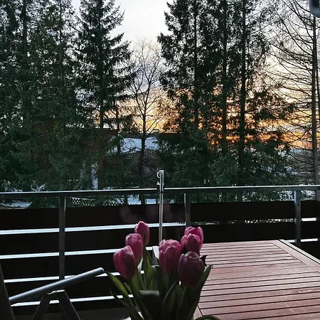 Waldfee Ankommen, Durchatmen, Wohlfuehlen - Moderne Fuer Paare & Familien Apartment Sankt Andreasberg