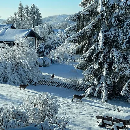 Waldfee Ankommen, Durchatmen, Wohlfuehlen - Moderne Fuer Paare & Familien Sankt-Andreasberg