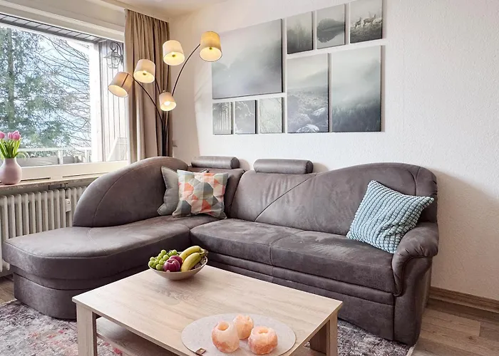 Waldfee Apartment Sankt Andreasberg