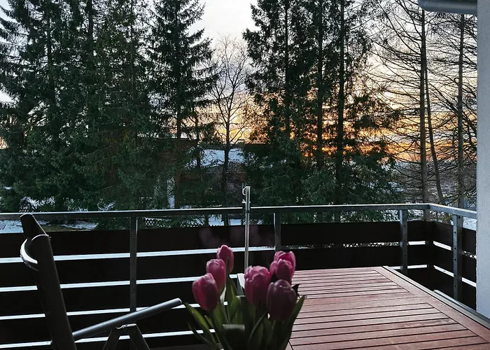 Waldfee Apartment Sankt Andreasberg