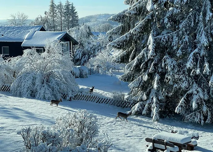 Waldfee Sankt Andreasberg